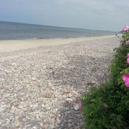 Finnhuette Von Mai Bis September Wittenbeck Esterno foto