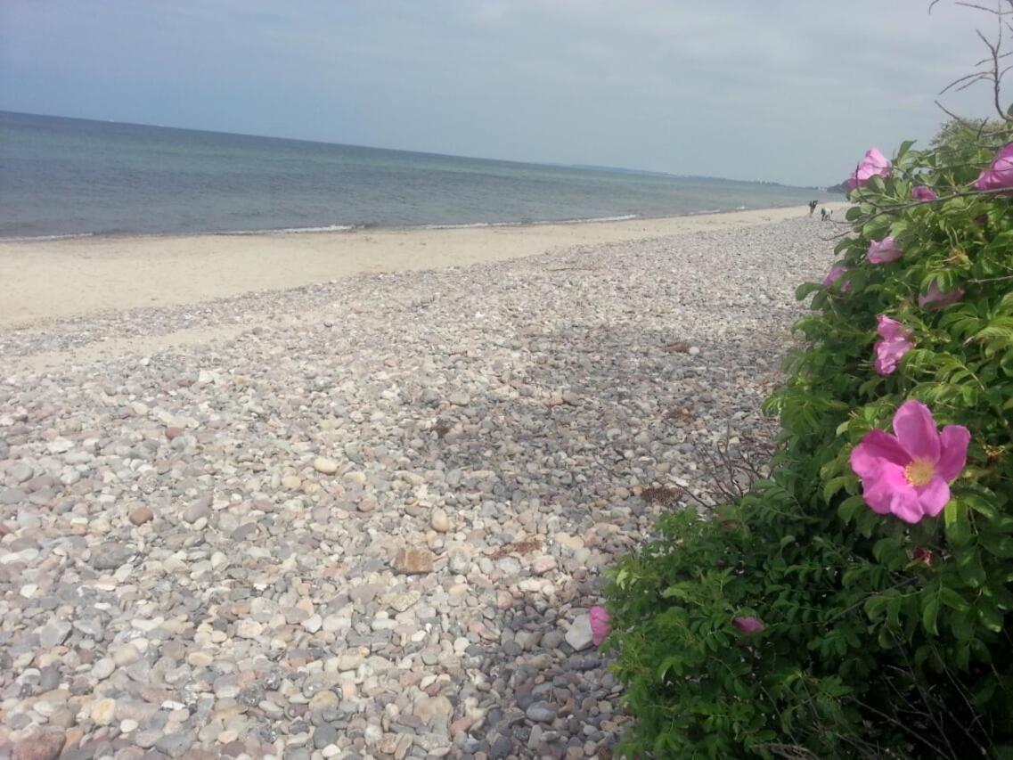 Finnhuette Von Mai Bis September Wittenbeck Esterno foto
